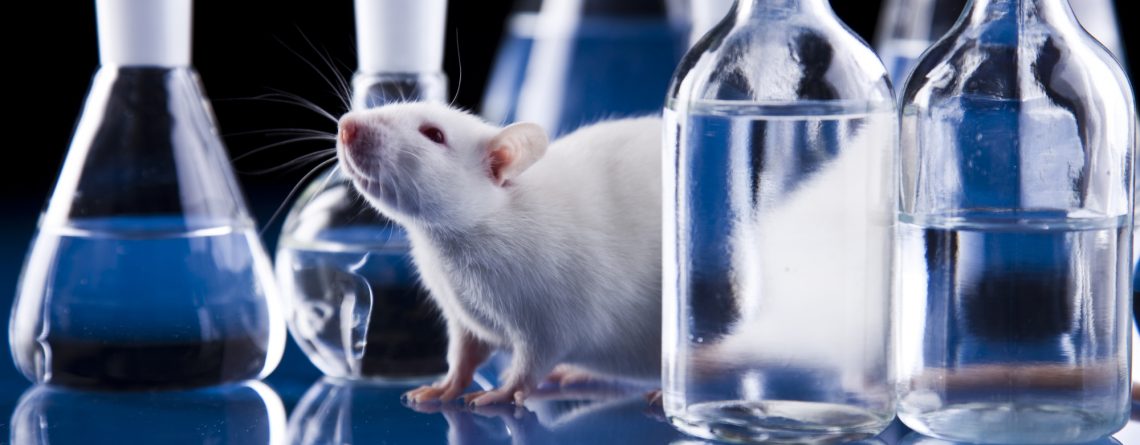 grib-baran-okazyvaet-znachitelnoe-antidepressivnoe-vozdejstvie-na-myshej